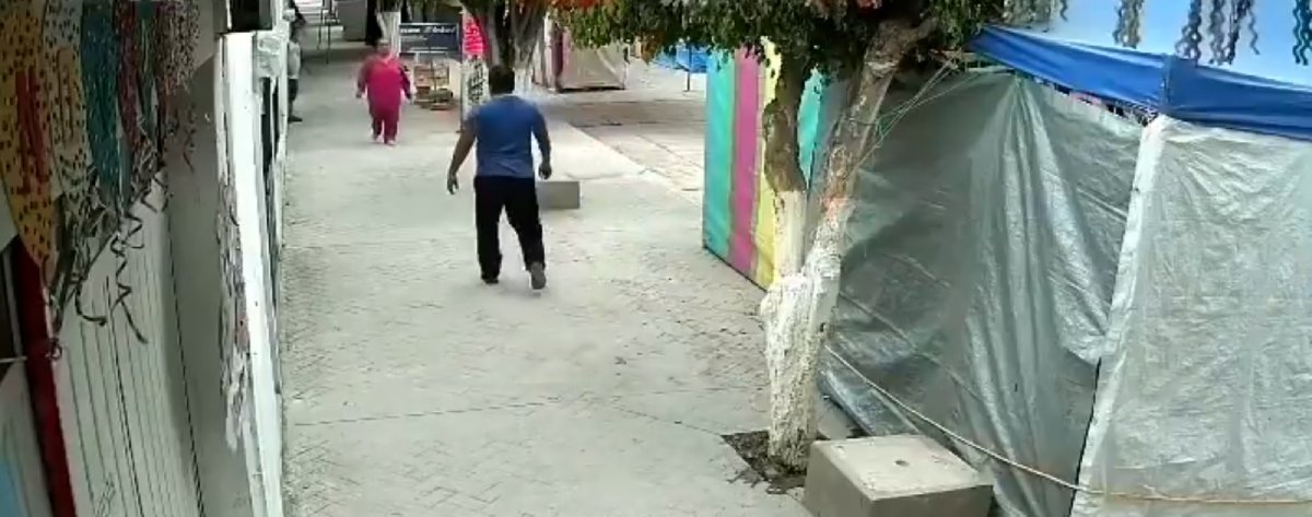 Niegan proceso legal contra agresor de perro en Santiago Miahuatlán