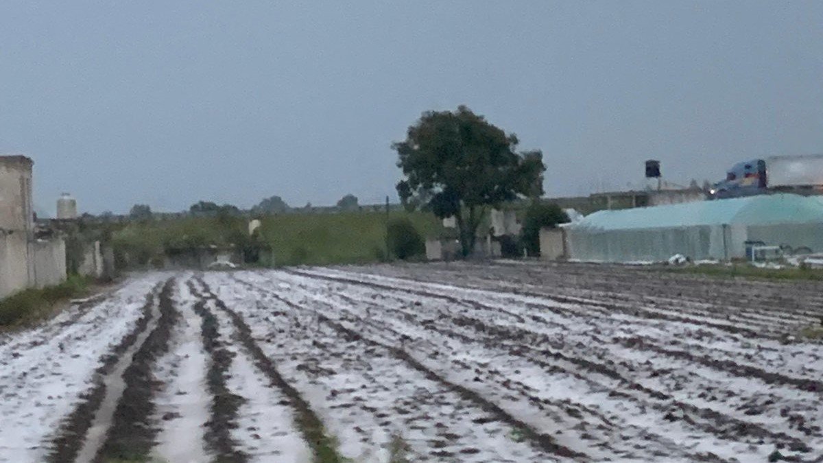 Granizada en Texmelucan, campesinos reportan perdidas