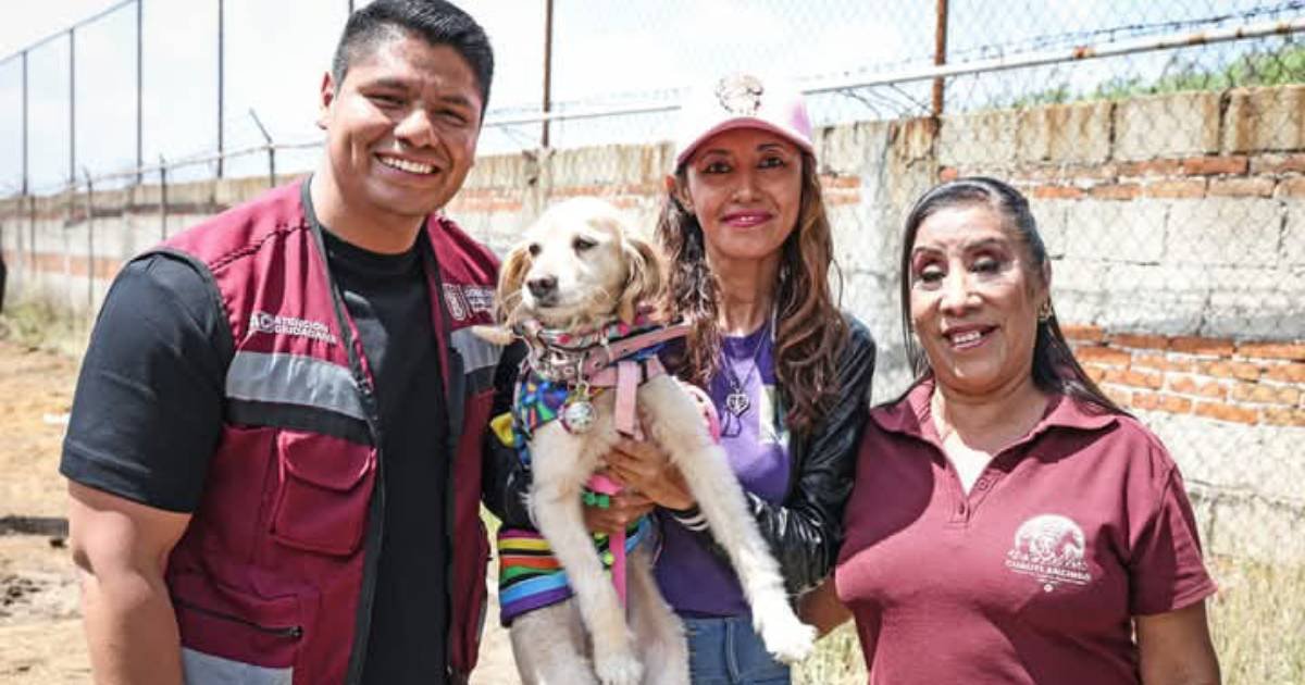 Omar Muñoz da banderazo de inicio al Centro de Bienestar Animal