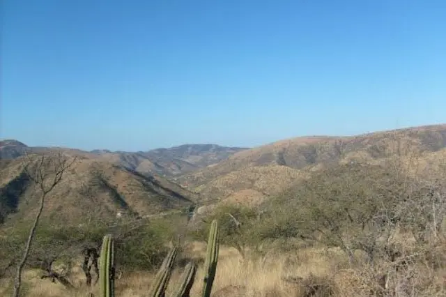 Extracción ilegal en la Mixteca Poblana evidencia abandono y corrupción local