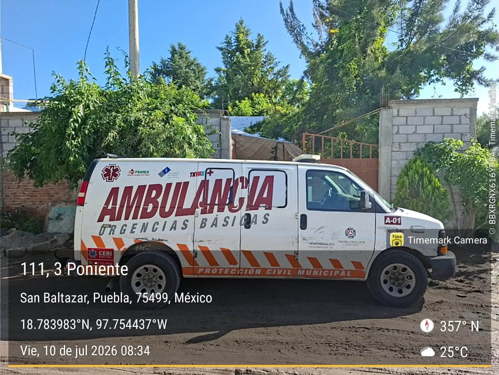 Protección Civil reubica panal de abejas y protege familia en Tecamachalco